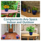 Sunnydaze Resort Glazed Ceramic Planter with Drainage Holes - Set of 2