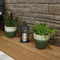 Sunnydaze Resort Ceramic Indoor/Outdoor Flower Pot Planter