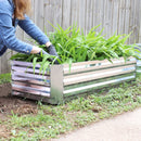 Woman kneeling next to the rectangle, silver raised garden bed outside tending to plants