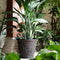 Sunnydaze Arabella Indoor/Outdoor Resin Planter - Rust - 16"