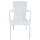 Sunnydaze Segesta All-Weather Plastic Patio Dining Chair