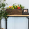 Sunnydaze Indoor/Outdoor Rectangle Acacia Wood Planter Box