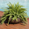 Sunnydaze Percival Indoor/Outdoor Planter Pot - Sable - 20.75"