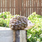 Sunnydaze Indoor/Outdoor Hazel the Hedgehog Statue - 7"