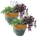 Set of two two-toned yellow and blue planters with green and purple plants.