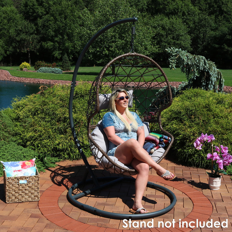 Sunnydaze Danielle Outdoor Hanging Egg Chair with Cushion