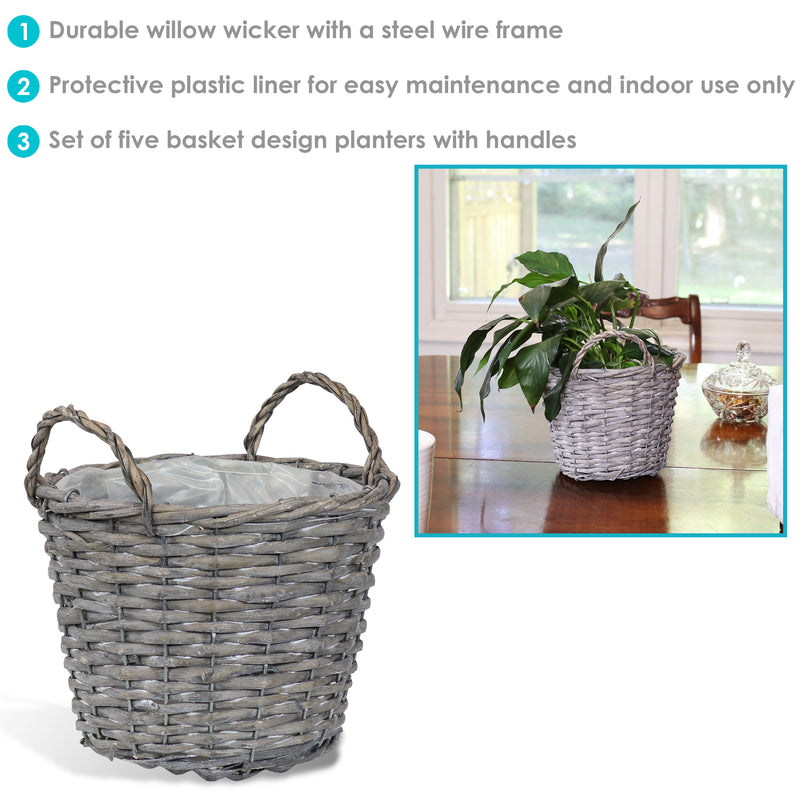 Wicker planter with plant
