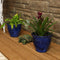 Sunnydaze Set of 2 Studio Glazed Ceramic Planters