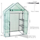 rooled up door for walk-in greenhouse with 4 shelves and green cover