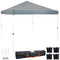 Sunnydaze Standard Pop-Up Canopy with Carry Bag and Sandbags - Colors and Sizes