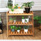 Sunnydaze Outdoor Meranti Wood Garden Shelf with Teak Oil Finish