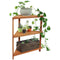 Sunnydaze Meranti Wood Teak Oil Finish 3-Tier Indoor/Outdoor Corner Plant Stand