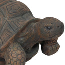 Sunnydaze Tanya the Tortoise Indoor/Outdoor Garden Statue - 20"