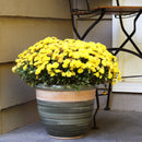 Sunnydaze Indoor/Outdoor Purlieu Ceramic Planter - 15"