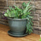 Blue-gray ceramic planter with plants sits on top of matching color saucer.