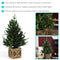 Sunnydaze Pre-Lit Farmhouse Artificial Fir Christmas Tree - 3'