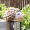 indoor/outdoor hedgehog statue