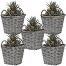5 wicker planters with plants