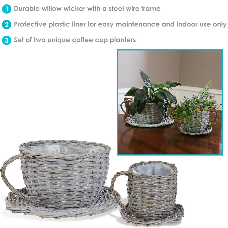 Aerial view of wicker teacup planters