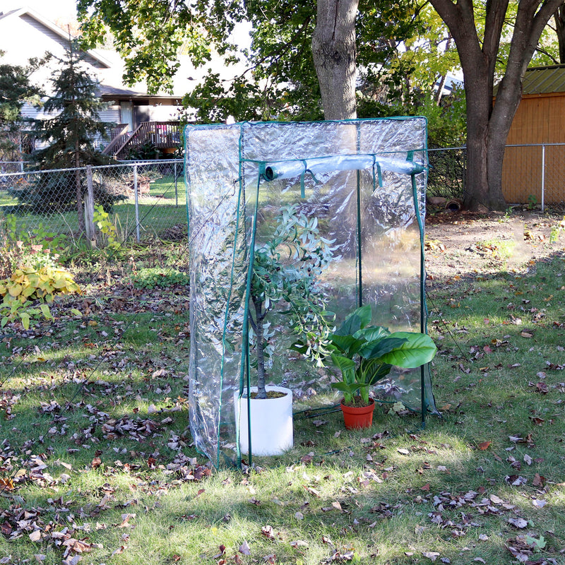 Sunnydaze Deluxe Potted Plant and Tomato Plant Greenhouse - Clear