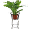 Scallope edged metal planter basket with plant