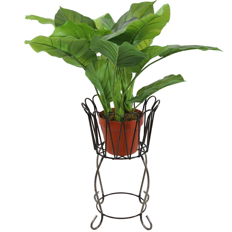 Scallope edged metal planter basket with plant