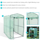 closed door for walk-in greenhouse with 1 shelf and green cover
