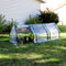 Mini cloche greenhouse with clear PVC cover in shaded backyard with one of three doors rolled open to access the plants inside