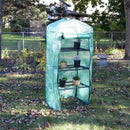 Sunnydaze Portable 4-Tier Mini Greenhouse for Outdoors - Green