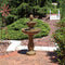 Sunnydaze 2-Tier Blooming Flower Outdoor Water Fountain - 38" H