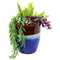 Sunnydaze Captivating Vista Ceramic Planter - 14"